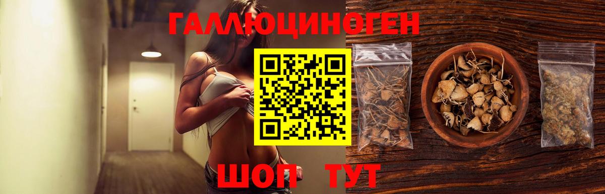 Псилоцибиновые грибы мухоморы  Вход с VPN  Кашира 